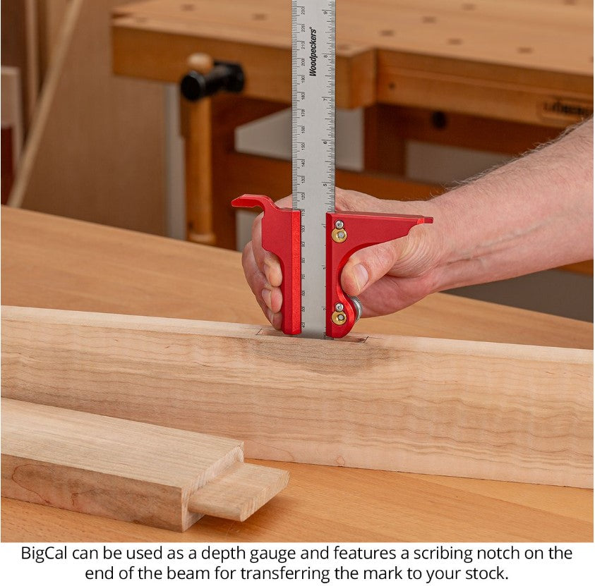 BigCal Woodworking Calipers